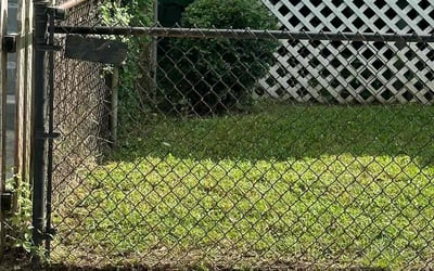 Photo of Erica W.'s yard after getting landscaping in Boyce, VA