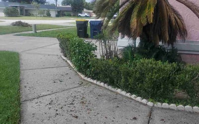 Photo of Julie S.'s yard after getting landscaping in Babson Park, FL
