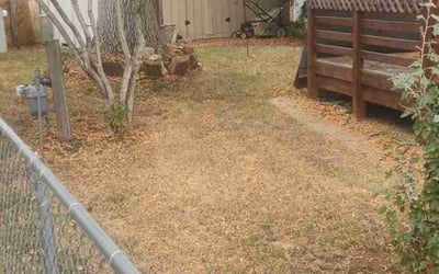 Photo of Julee G.'s yard after getting landscaping in Red Feather Lakes, CO