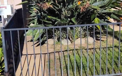 Photo of Julie E.'s yard after getting landscaping in Pine Valley, CA