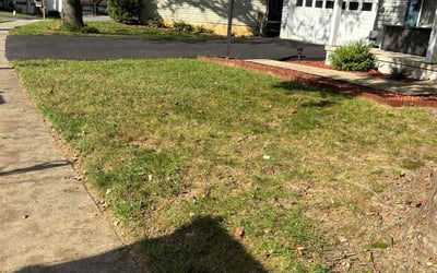Photo of Peter S.'s yard after getting landscaping in Ashton, MD