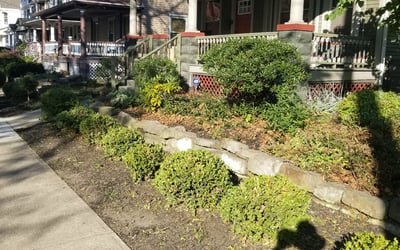 Photo of Kevin J.'s yard after getting landscaping in Oberlin, OH