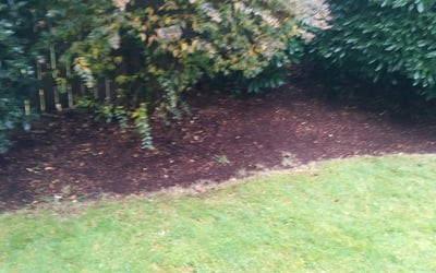 Photo of Gina G.'s yard after getting landscaping in Arlington, WA