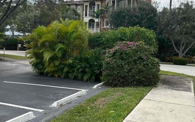 Photo of Shawn S.'s yard after getting landscaping in Deerfield Beach, FL