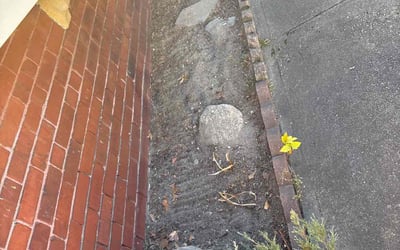 Photo of Michael C.'s yard after getting landscaping in Providence, RI