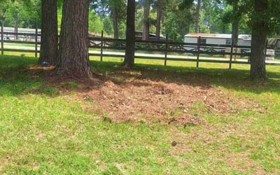 Photo of Jack E.'s yard after getting tree care in Spring, TX