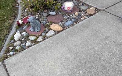 Photo of Brandon B.'s yard after getting landscaping in Livermore, CA