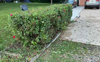 Photo of Gary W.'s yard after getting landscaping in Manassas, VA