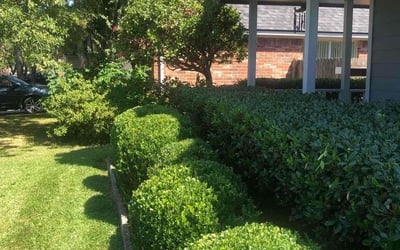 Photo of Stephen B.'s yard after getting landscaping in Winnie, TX
