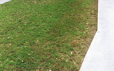 Photo of Angela M.'s yard after getting landscaping in Tarpley, TX