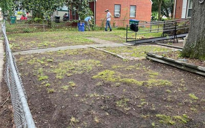 Photo of Robert H.'s yard after getting landscaping in Ashland, VA