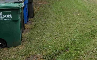 Photo of Robert K.'s yard after getting tree care in Franklinton, NC