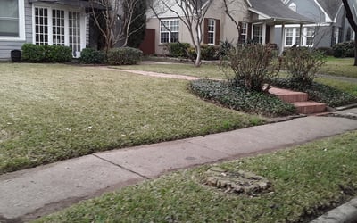 Photo of Emily B.'s yard after getting landscaping in Lone Oak, TX