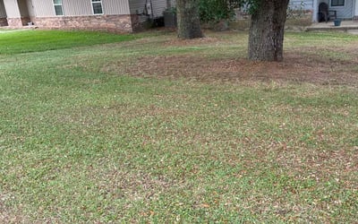 Photo of Jill M.'s yard after getting landscaping in Pensacola, FL