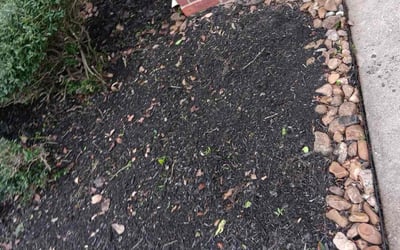 Photo of Sandra S.'s yard after getting landscaping in Stowell, TX
