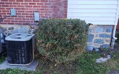 Photo of Suzanne W.'s yard after getting landscaping in Joppa, MD