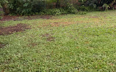 Photo of Anthony S.'s yard after getting landscaping in Dade City, FL