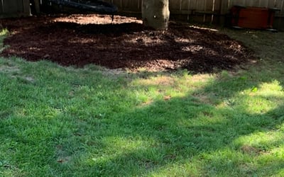 Photo of Matt J.'s yard after getting landscaping in Jackson, WI