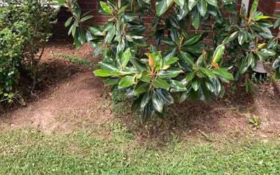 Photo of Robert H.'s yard after getting landscaping in White Bluff, TN