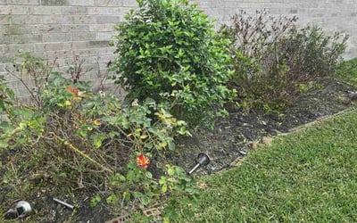 Photo of Alicia M.'s yard after getting landscaping in Sugar Land, TX