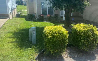 Photo of Mary B.'s yard after getting landscaping in Fairdale, KY