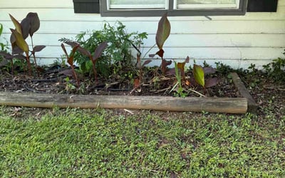 Photo of Justin J.'s yard after getting landscaping in Acworth, GA