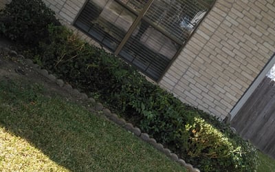 Photo of David S.'s yard after getting landscaping in Pandora, TX