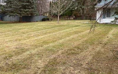 Photo of Daniel T.'s yard after getting landscaping in Onamia, MN