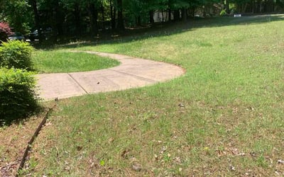 Photo of Annette C.'s yard after getting landscaping in Wake Forest, NC