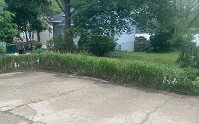 Photo of Lisa S.'s yard after getting landscaping in Lake Bluff, IL