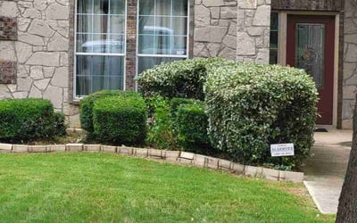 Photo of John C.'s yard after getting landscaping in Bergheim, TX