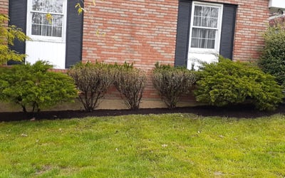 Photo of Richard G.'s yard after getting landscaping in Stevensville, MD