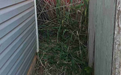Photo of Jason B.'s yard after getting landscaping in Stroud, OK