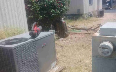 Photo of Lee W.'s yard after getting landscaping in Paradise Valley, AZ