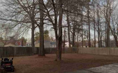 Photo of Gerald A.'s yard after getting landscaping in Aylett, VA