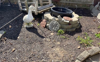 Photo of Pamela L.'s yard after getting landscaping in Baltimore, OH