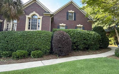 Photo of Rebecca C.'s yard after getting landscaping in Blythewood, SC
