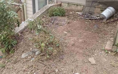 Photo of Nancy M.'s yard after getting landscaping in Barnesville, GA