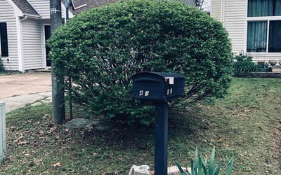 Photo of Harry M.'s yard after getting landscaping in Newport News, VA