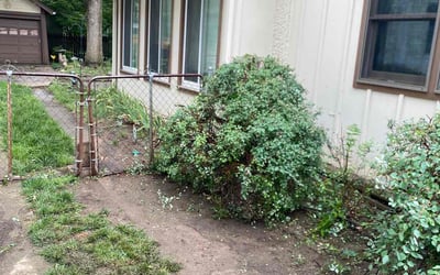Photo of Jane M.'s yard after getting landscaping in Pleasanton, KS
