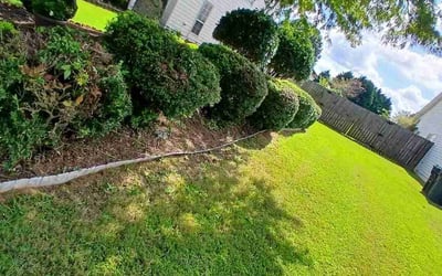 Photo of Cristal L.'s yard after getting tree care in Ball Ground, GA