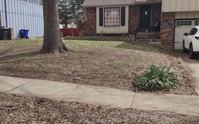 Photo of Diana B.'s yard after getting landscaping in Rich Hill, MO