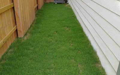 Photo of Dan S.'s yard after getting landscaping in Dripping Springs, TX