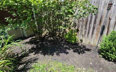 Photo of Megan M.'s yard after getting landscaping in Okeana, OH