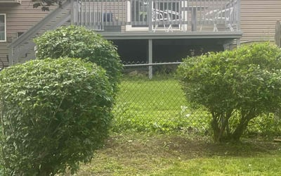 Photo of Luis T.'s yard after getting landscaping in Lancaster, PA