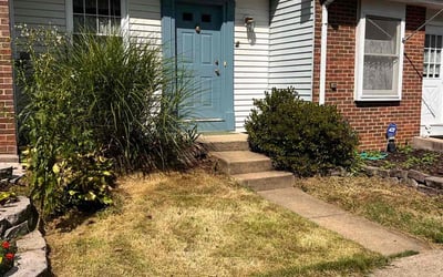 Photo of Daniel F.'s yard after getting landscaping in Midland, VA