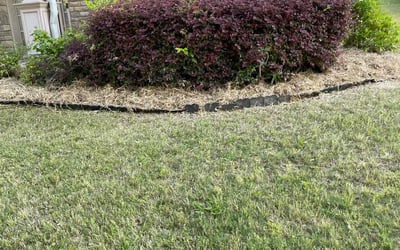 Photo of James B.'s yard after getting landscaping in Dacula, GA