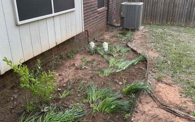 Photo of Shawn D.'s yard after getting landscaping in Norman, OK