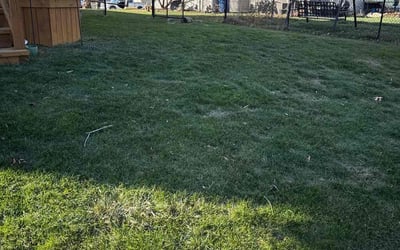 Photo of Carol B.'s yard after getting landscaping in Nineveh, IN