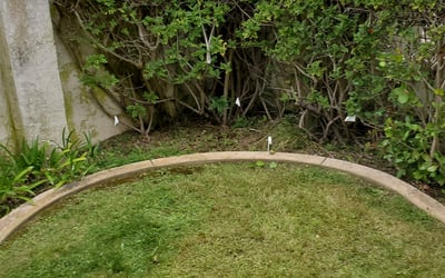 Photo of Jonathan M.'s yard after getting landscaping in Valley Center, CA